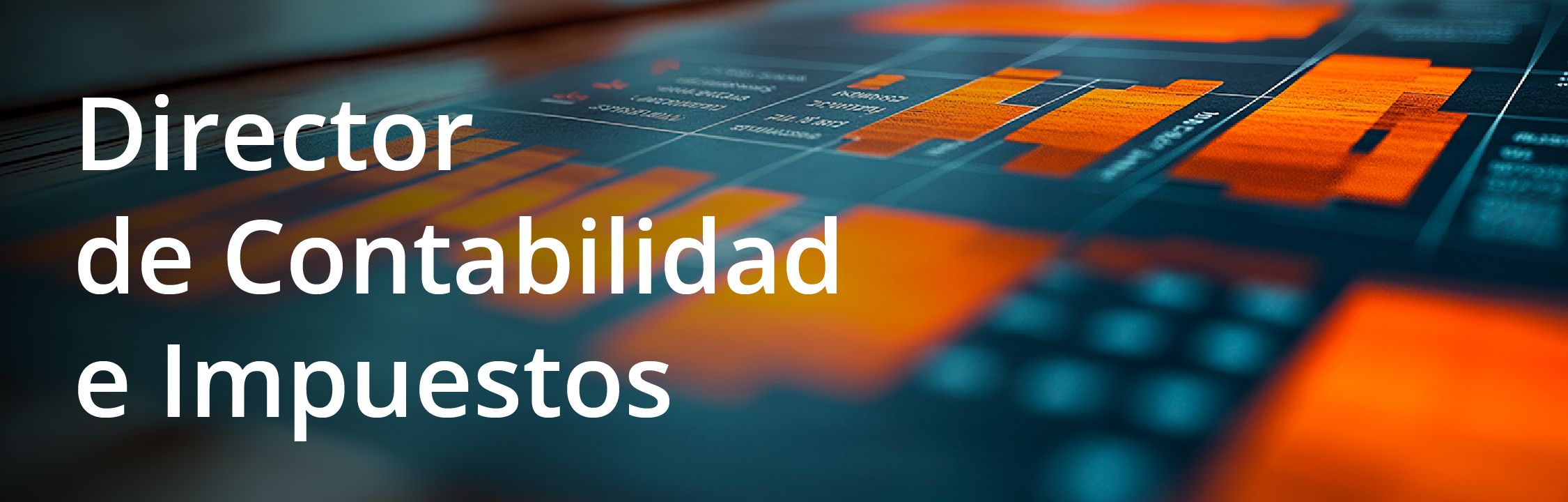 Director de Contabilidad e Impuestos